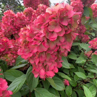 image (7)3